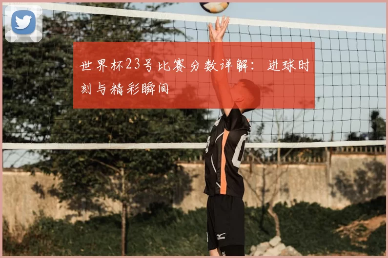 世界杯23号比赛分数详解：进球时刻与精彩瞬间