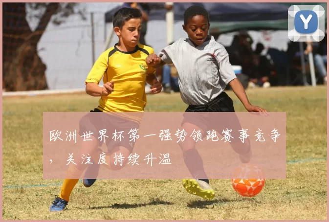 欧洲世界杯第一强势领跑赛事竞争，关注度持续升温