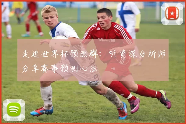 走进世界杯预测群:听资深分析师分享赛事预测心法