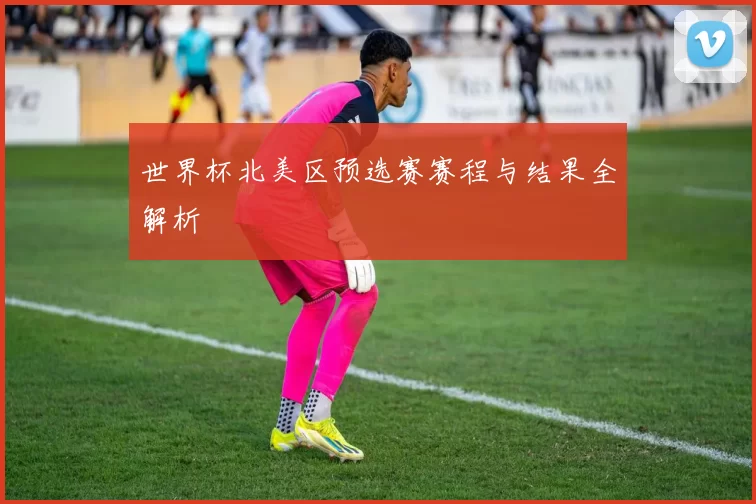 世界杯北美区预选赛赛程与结果全解析