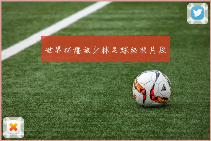 世界杯播放少林足球经典片段