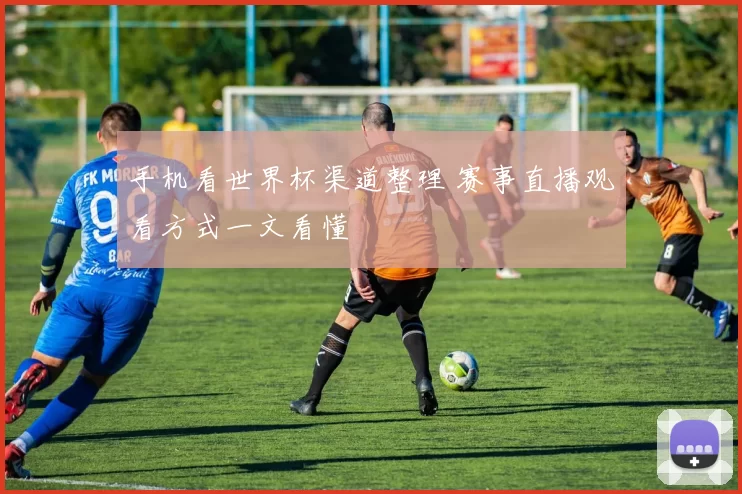 手机看世界杯渠道整理 赛事直播观看方式一文看懂