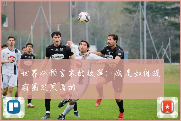 世界杯预言家的故事:我是如何提前圈定黑马的
