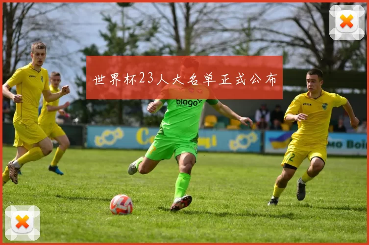 世界杯23人大名单正式公布