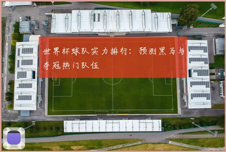 世界杯球队实力排行：预测黑马与夺冠热门队伍