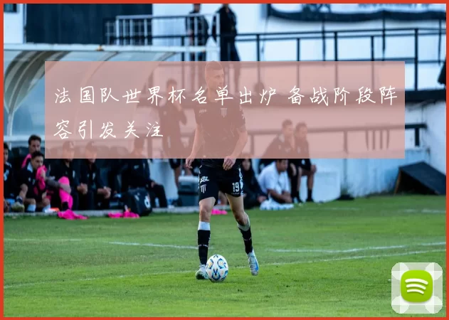 法国队世界杯名单出炉 备战阶段阵容引发关注