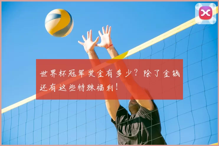 世界杯冠军奖金有多少?除了金钱还有这些特殊福利!