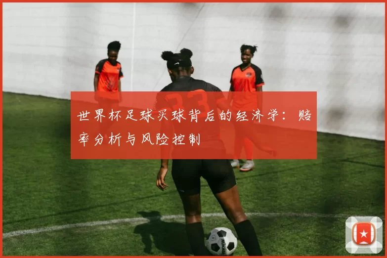 世界杯足球买球背后的经济学：赔率分析与风险控制