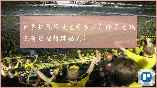 世界杯冠军奖金有多少？除了金钱还有这些特殊福利！