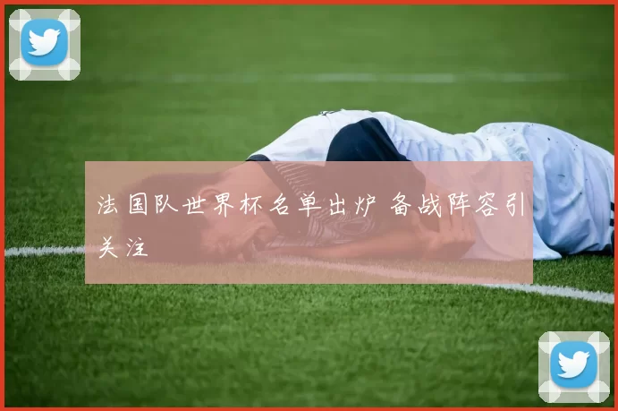 法国队世界杯名单出炉 备战阵容引关注